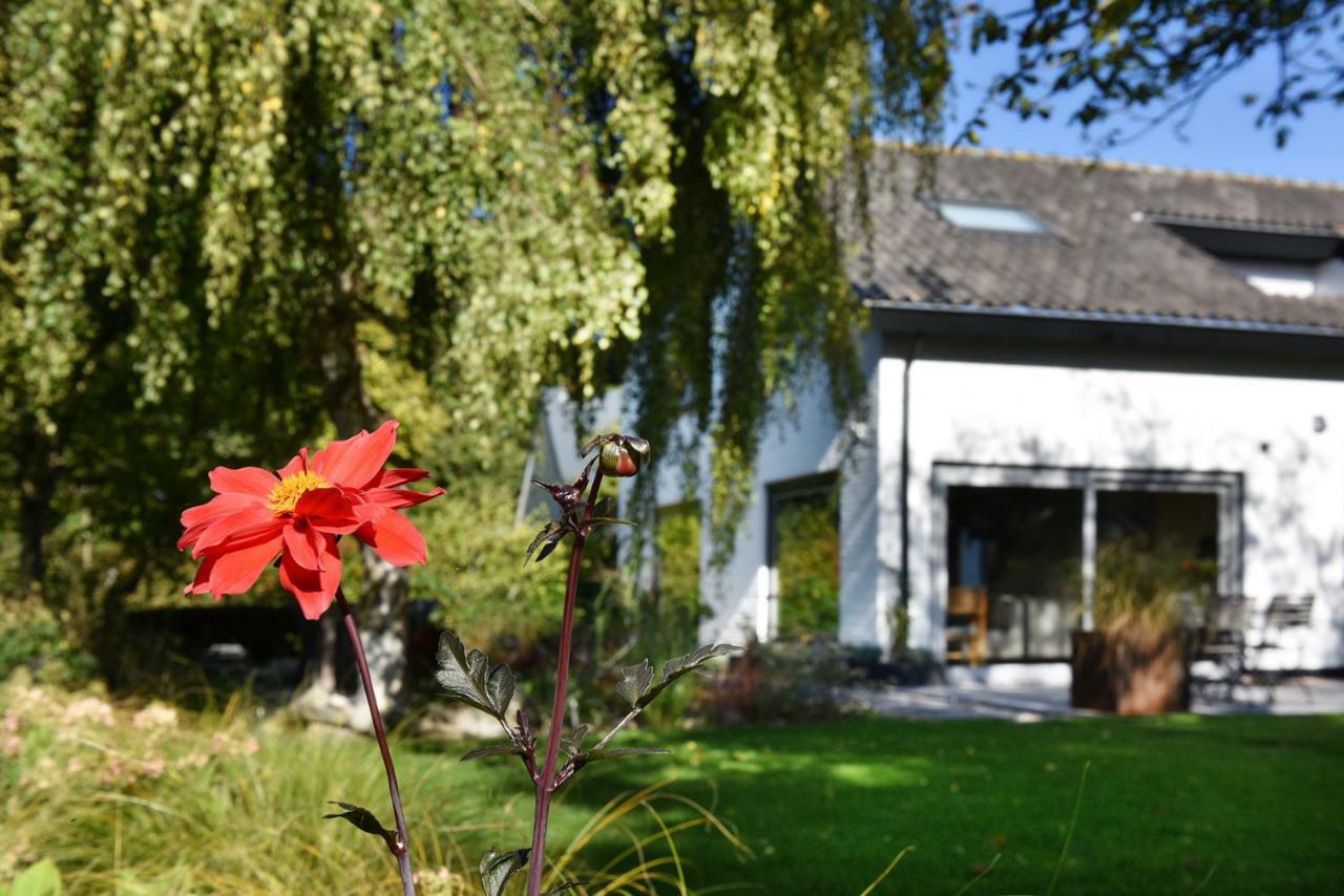 Villa Astrantia Bruinisse Exterior foto